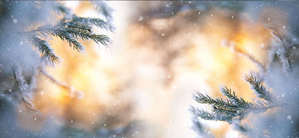 Helhetshälsa God jul